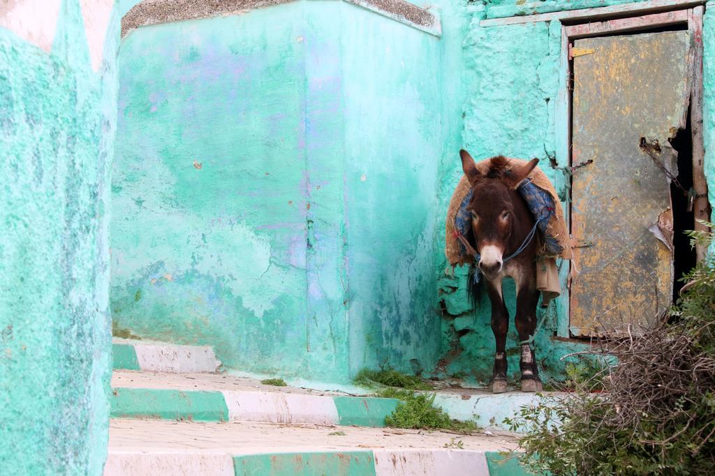 Dar Zerhoune Moulay Idriss Zerhoun Exterior photo